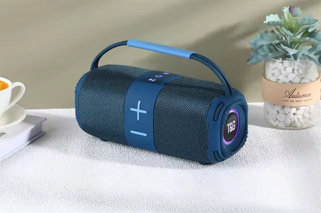 Enceinte audio